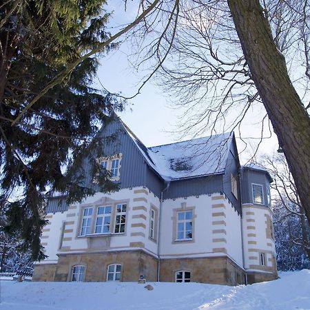 Villa-Unger Алтенберг Източен Ерцгебирге Екстериор снимка