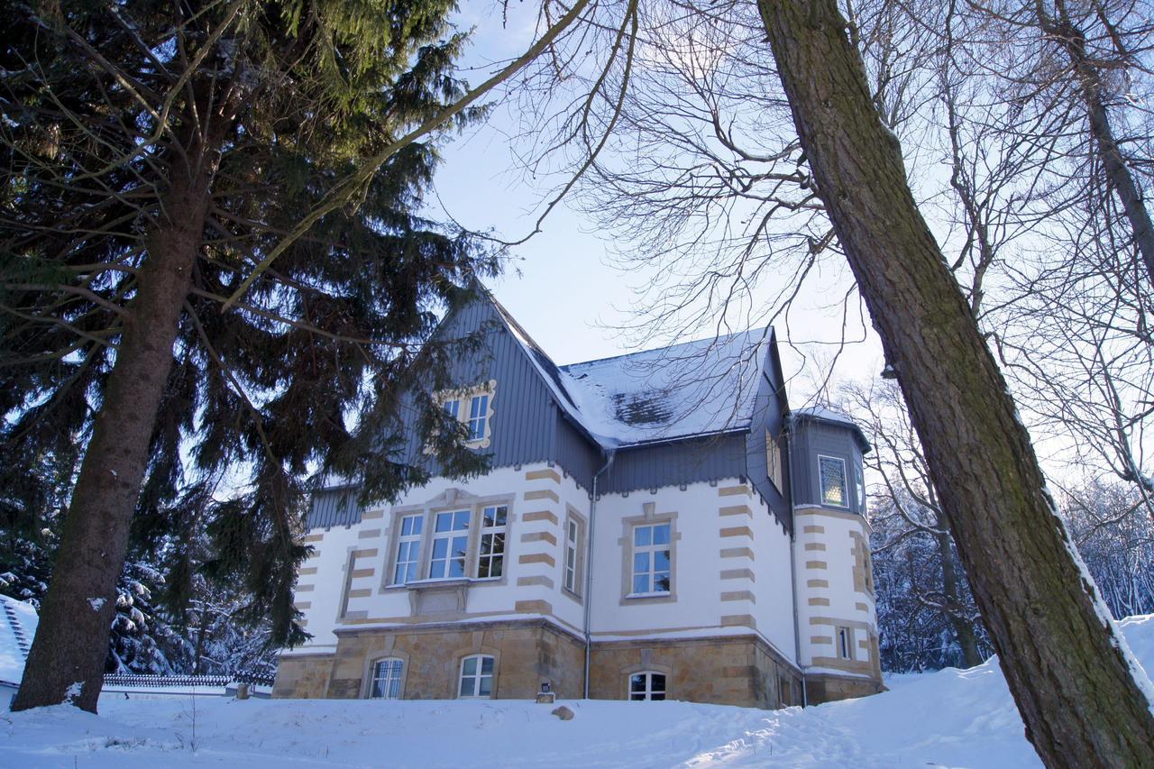 Villa-Unger Алтенберг Източен Ерцгебирге Екстериор снимка