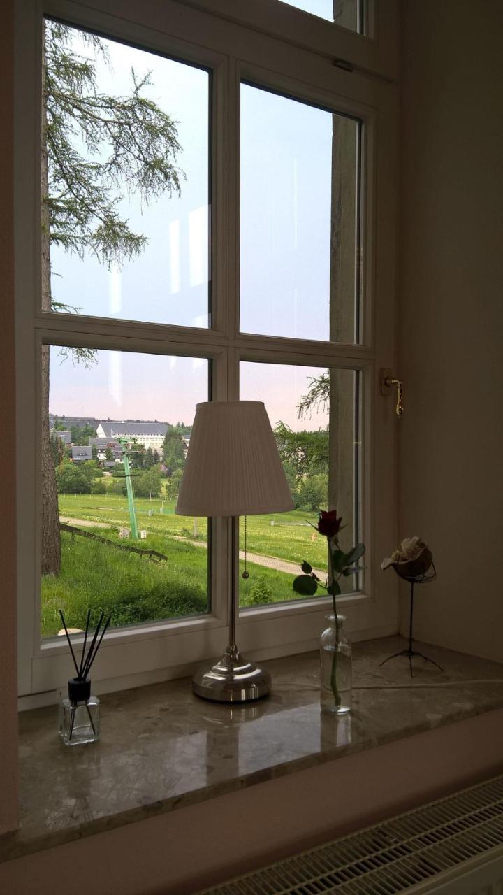 Villa-Unger Алтенберг Източен Ерцгебирге Екстериор снимка