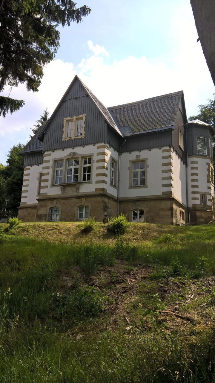 Villa-Unger Алтенберг Източен Ерцгебирге Екстериор снимка