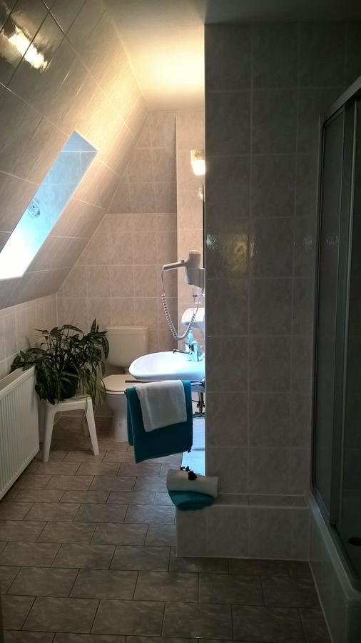 Villa-Unger Алтенберг Източен Ерцгебирге Екстериор снимка